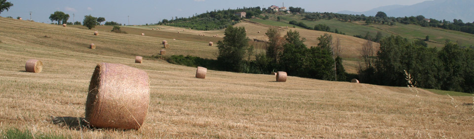 Agriturismo in campania